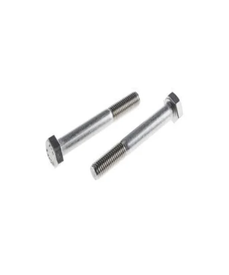 Plain Stainless Steel Hex Bolt